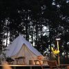 glamping camping tent woods forest 6490987